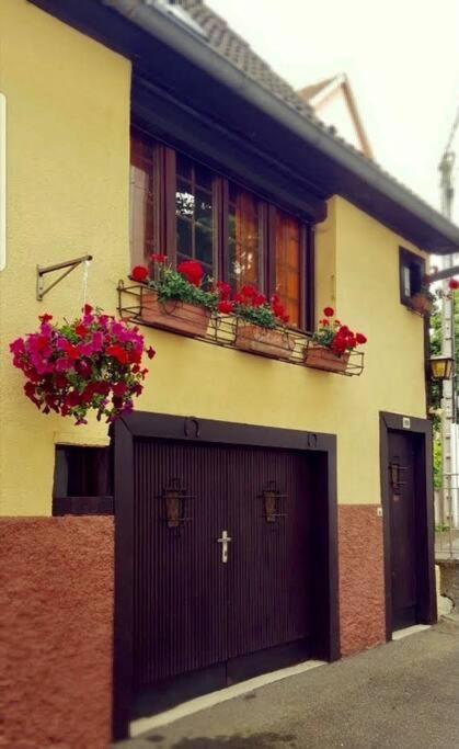 Chez Mamema, Maison Alsacienne Route Des Vins Kintzheim Kültér fotó